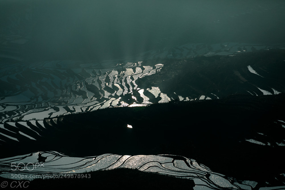 Canon EOS 5D Mark IV sample photo. Yuan yang travels - 47 photography