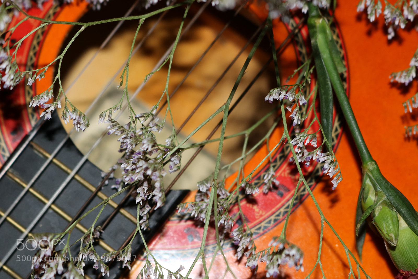 Canon EOS 750D (EOS Rebel T6i / EOS Kiss X8i) sample photo. Love time photography