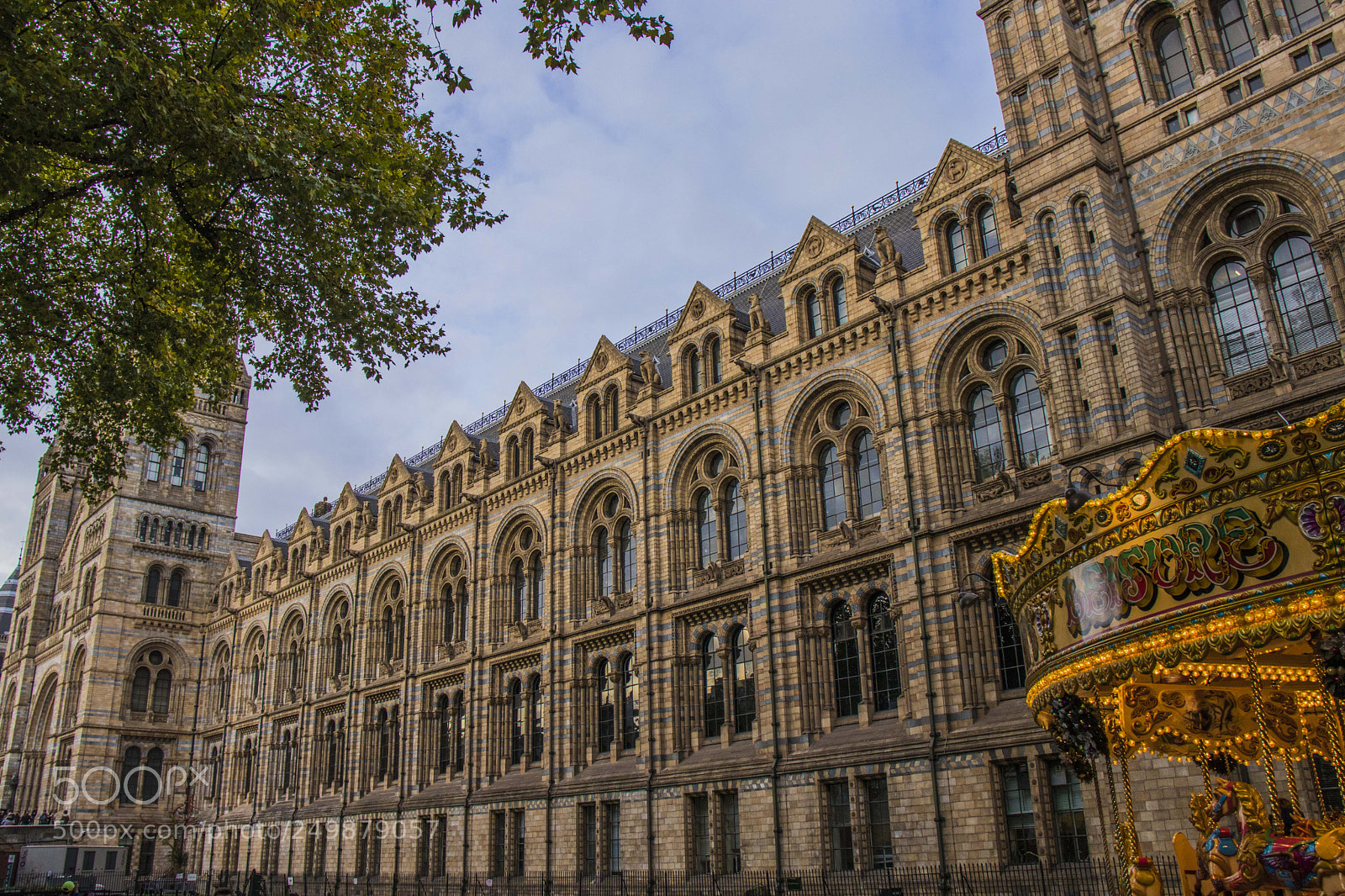 Canon EOS 800D (EOS Rebel T7i / EOS Kiss X9i) sample photo. Natural history museum photography