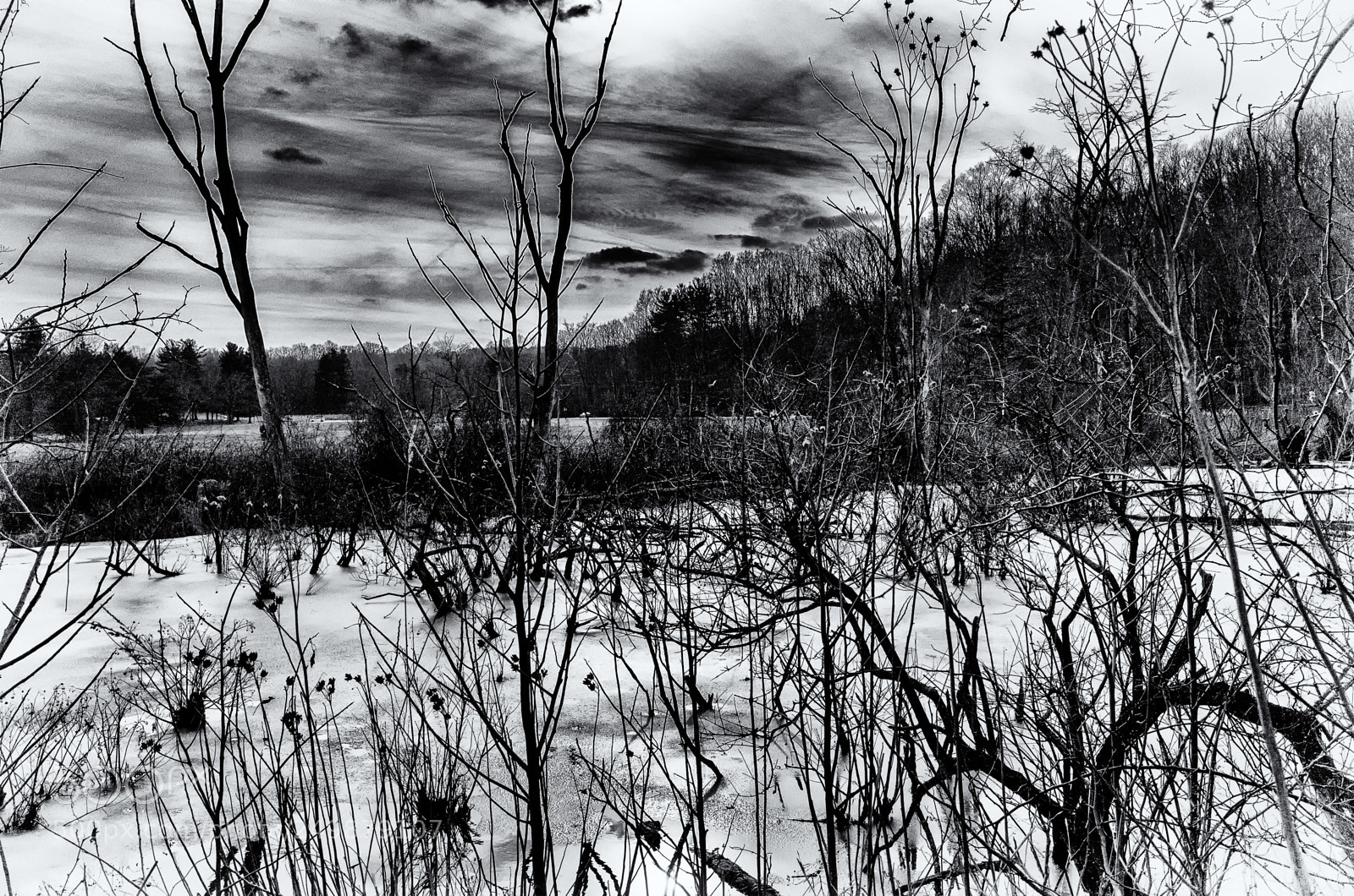 Ricoh GR sample photo. Winter photography