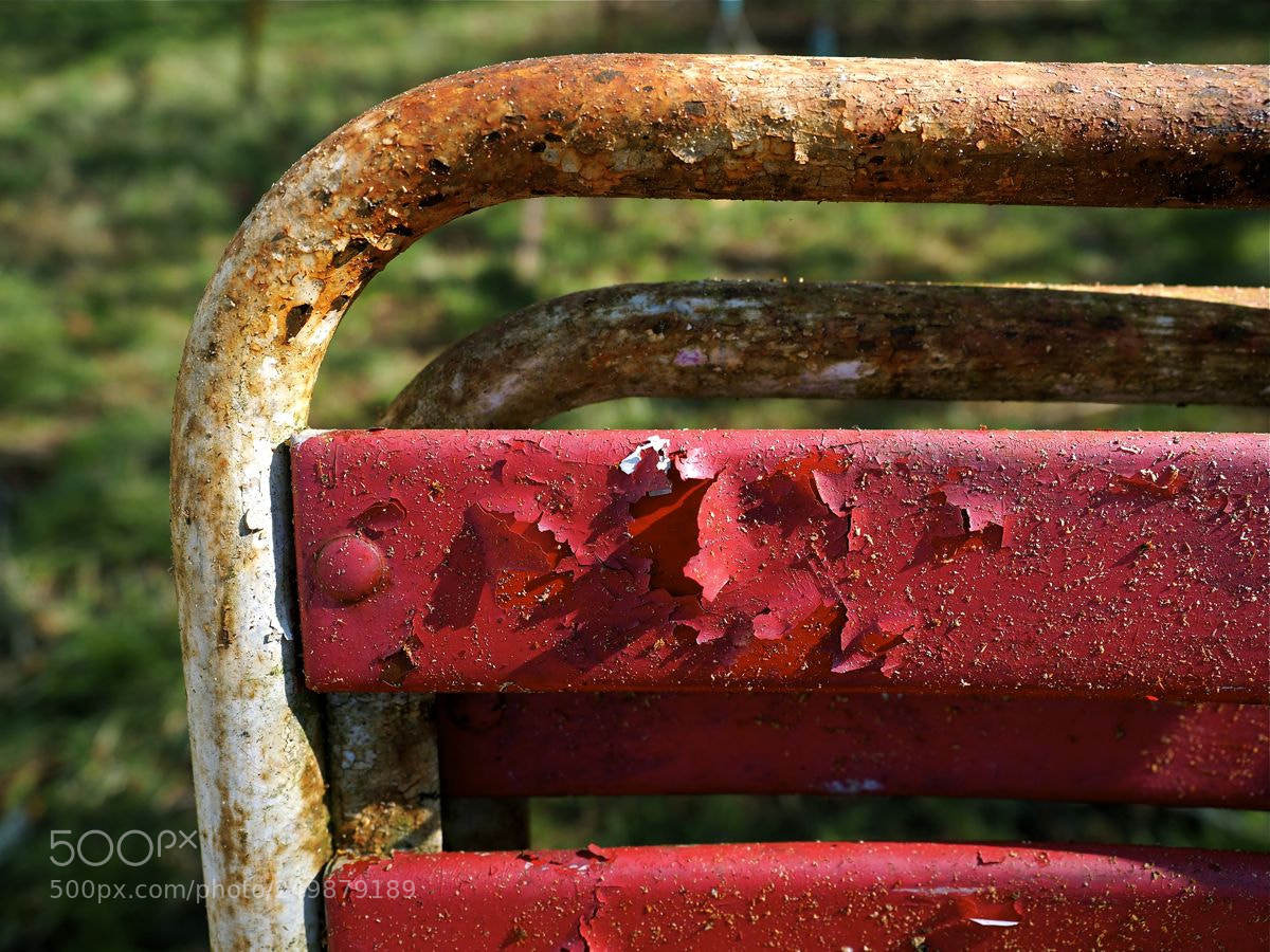 Olympus OM-D E-M5 II sample photo. La chaise du jardin photography