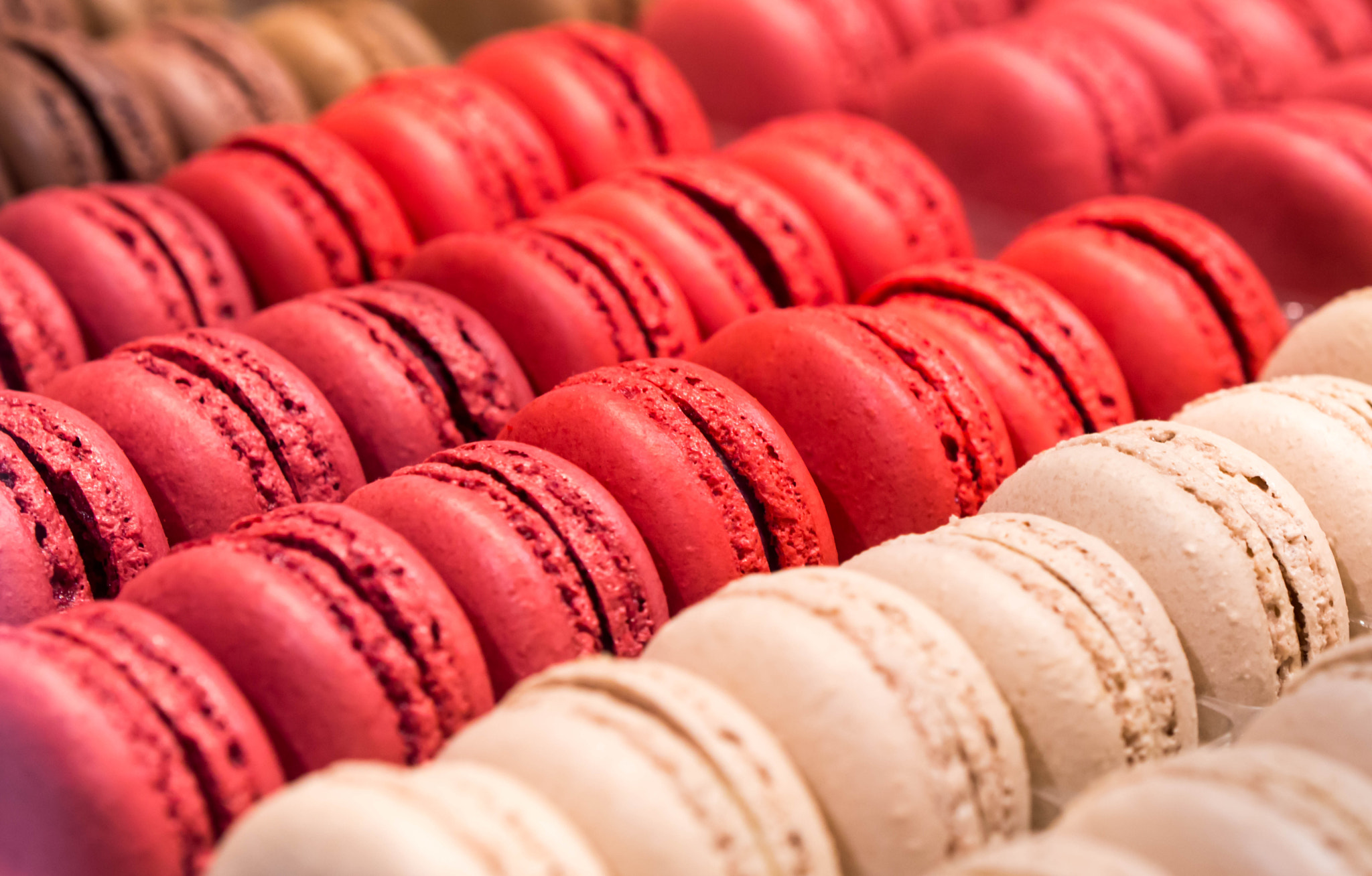 Olympus PEN E-PM2 sample photo. Macaroons photography
