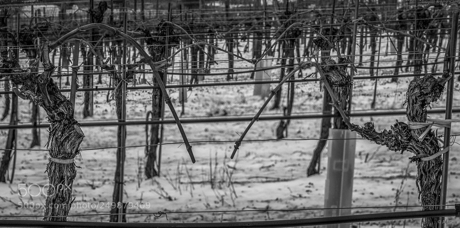 Sony a7R II sample photo. This is the wachau photography