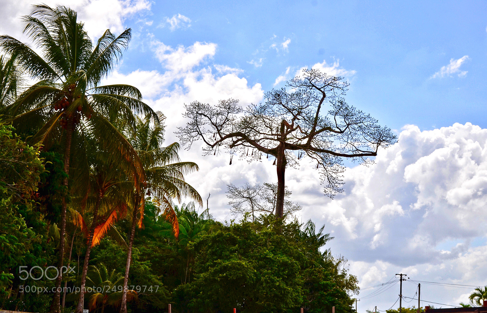 Nikon D7000 sample photo. Untitled photography