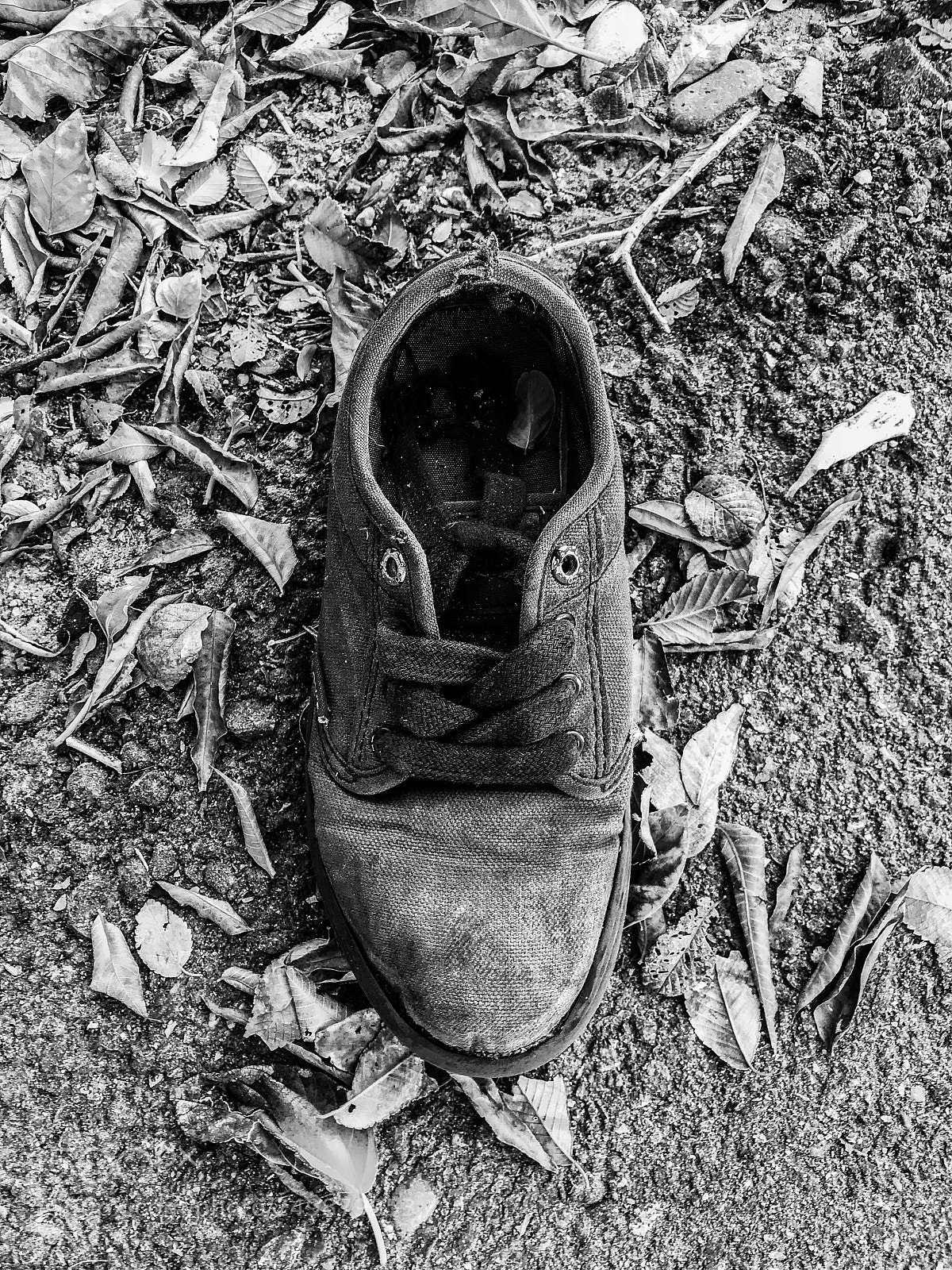 Apple iPhone 7 sample photo. Child s abandoned shoe photography