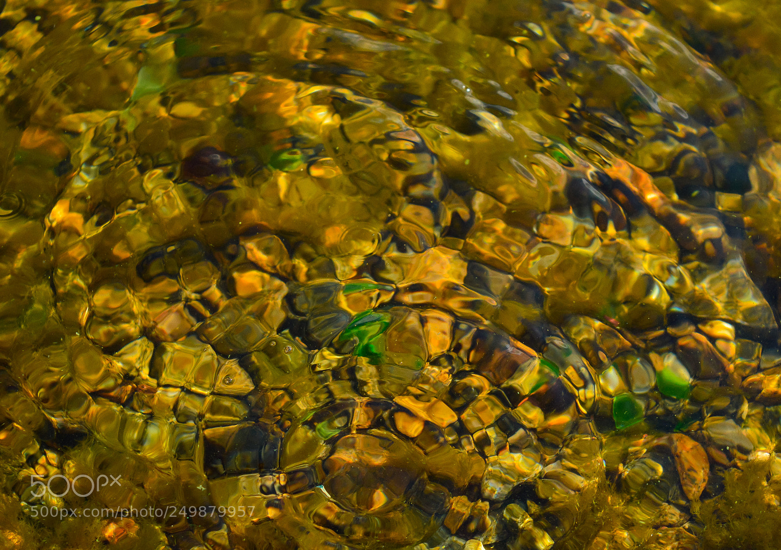 Nikon D3200 sample photo. Under the water photography