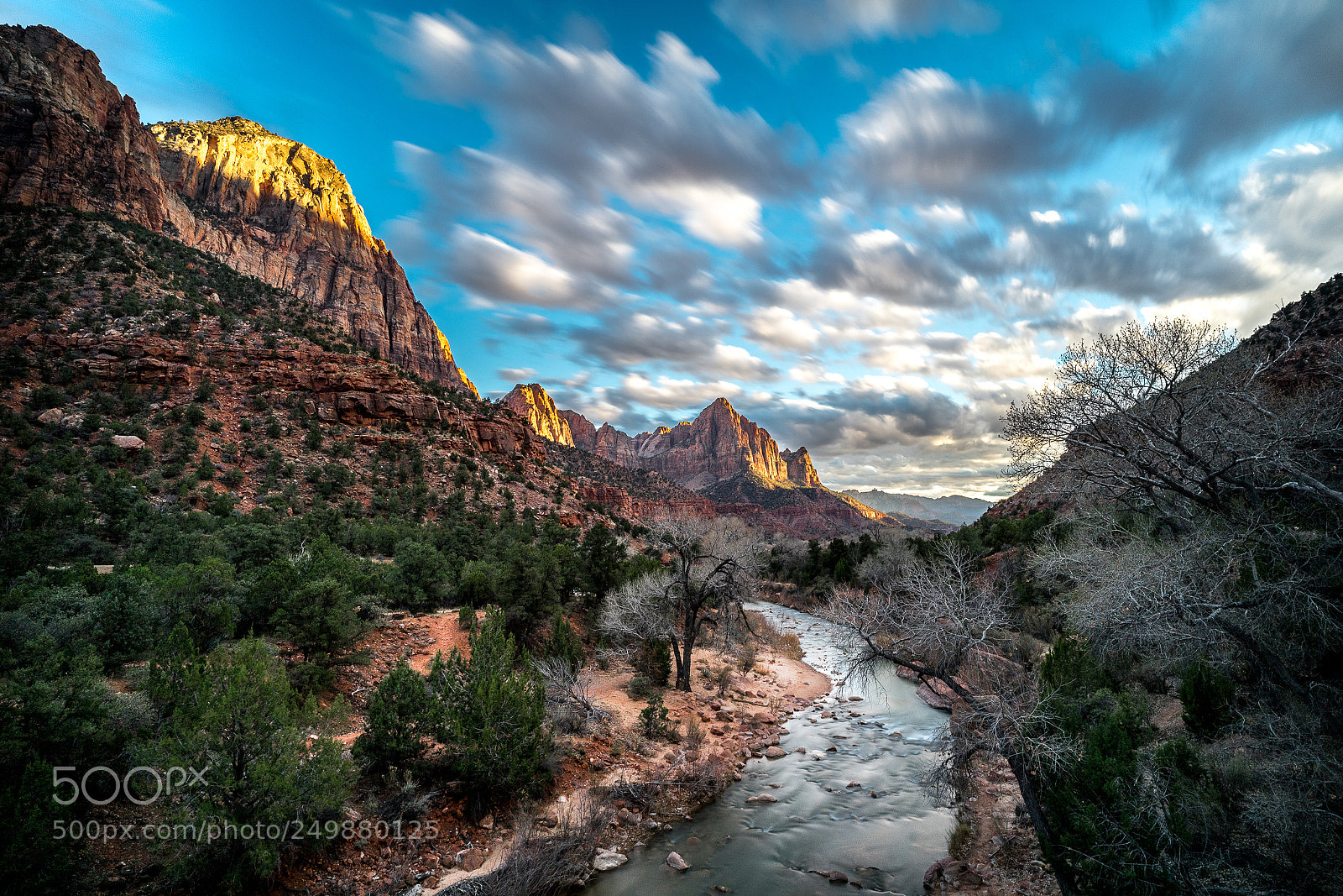 Sony a7 II sample photo. Sunkissed zion photography