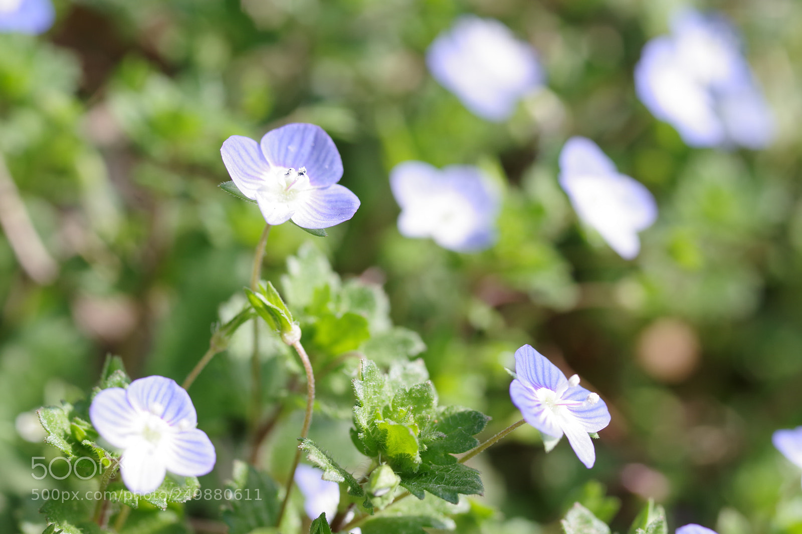 Pentax K-70 sample photo. Untitled photography