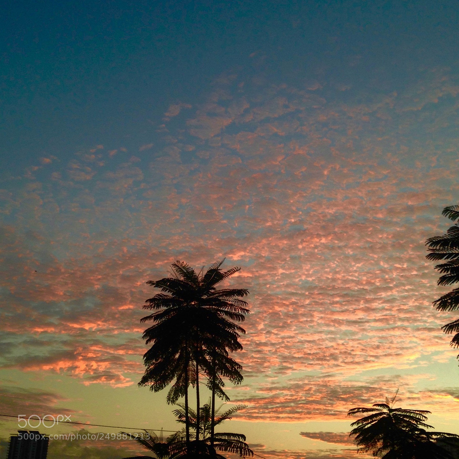 Apple iPhone 5 sample photo. Hollywood photography