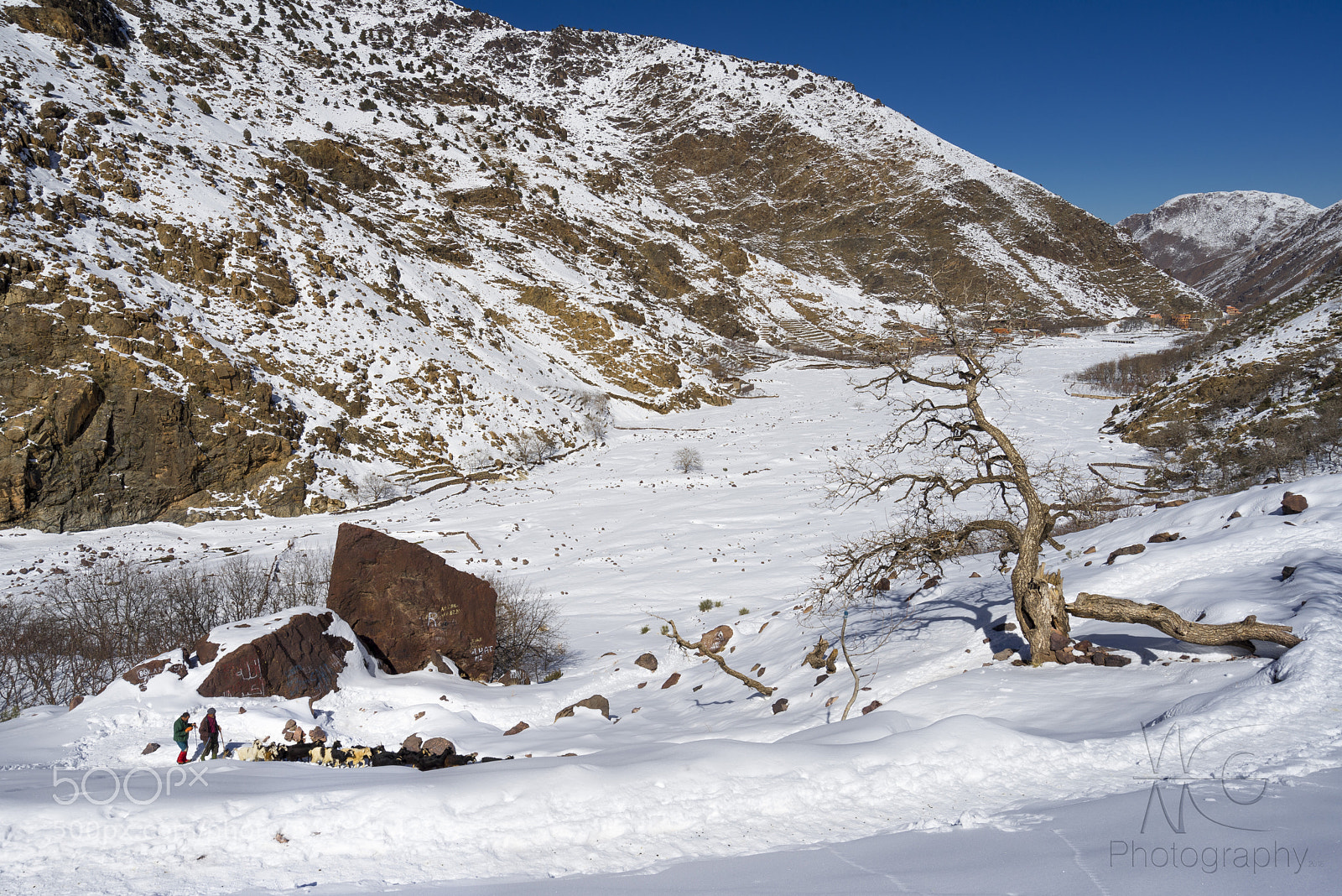 Sony a7R sample photo. Winters shepherds pastores de photography