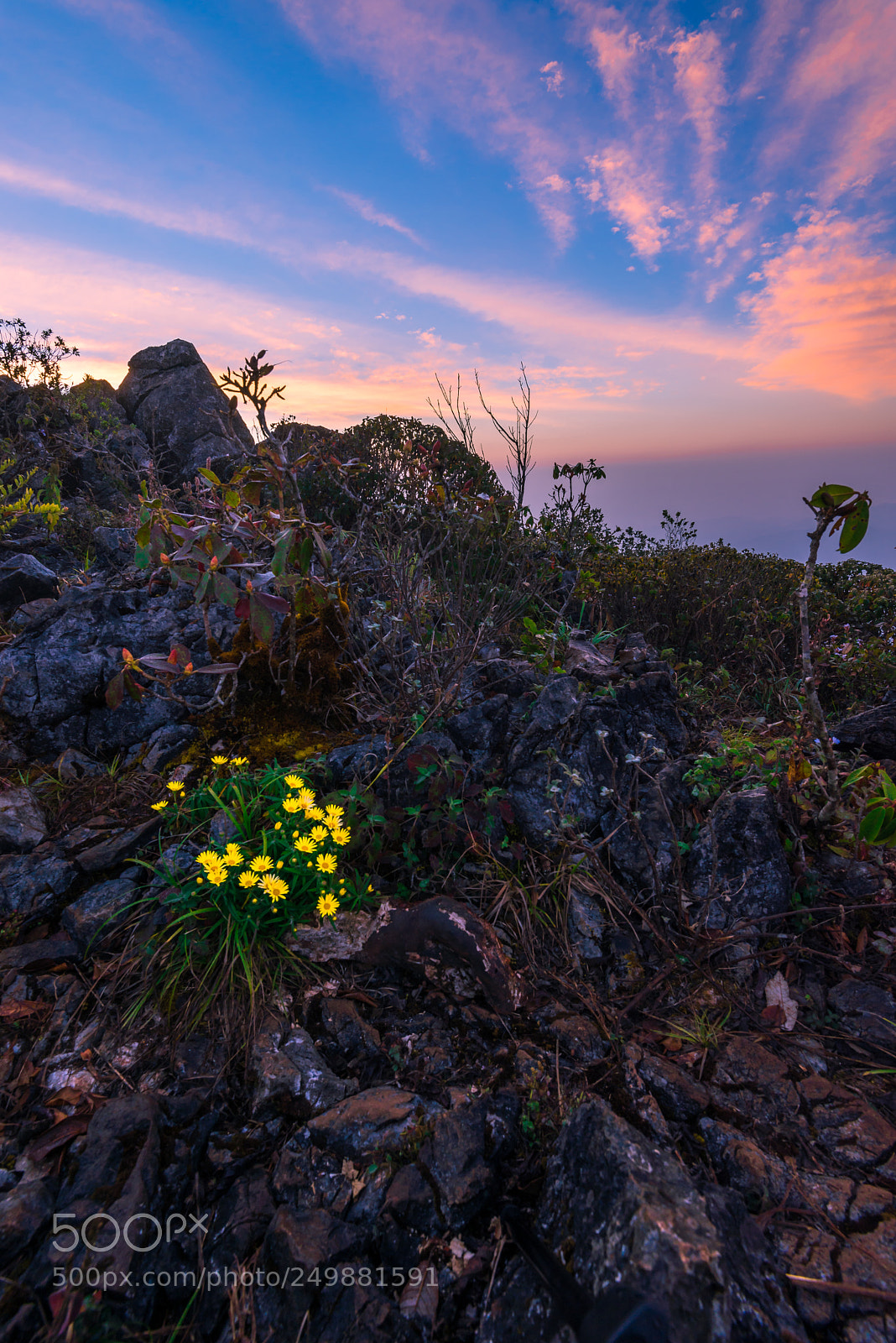 Nikon D600 sample photo. Beauty&strong photography