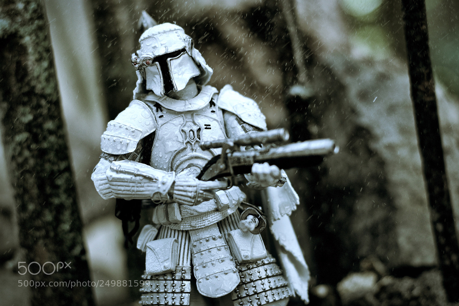 Canon EOS 80D sample photo. Rainy ronin photography