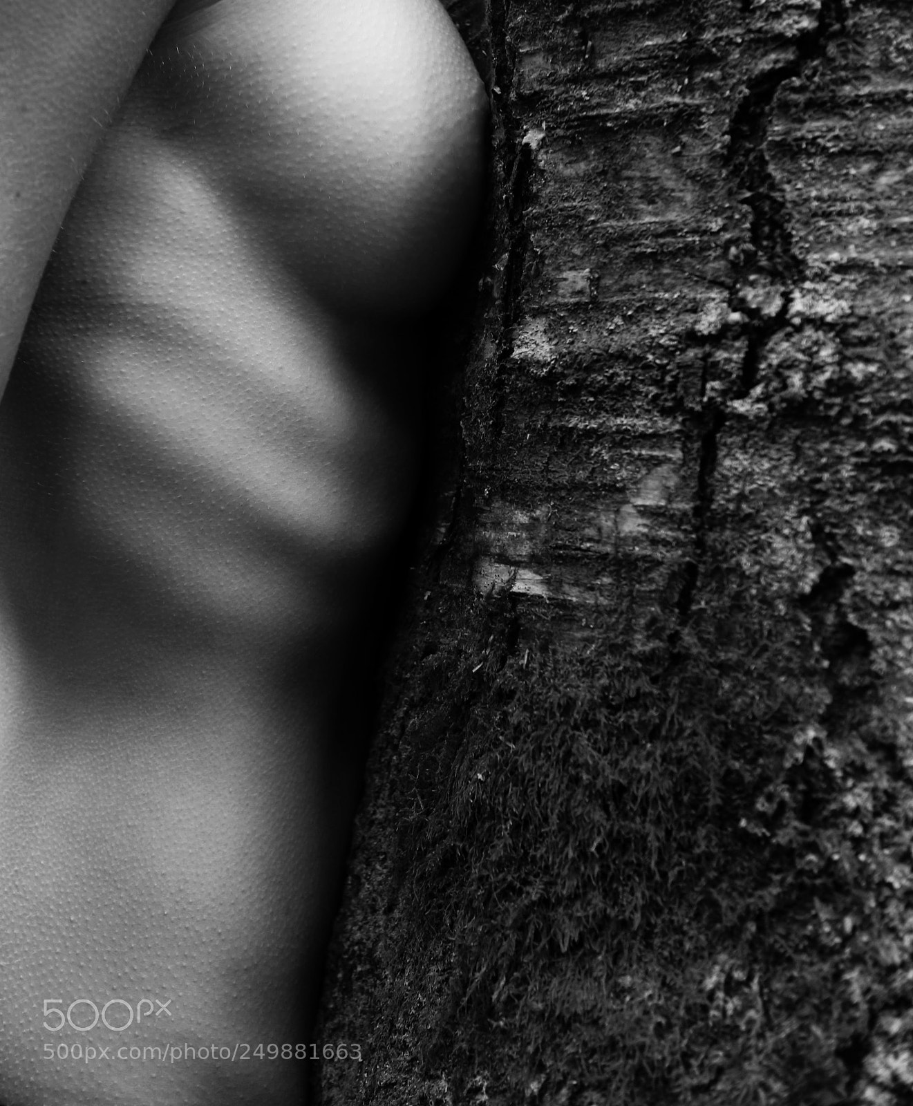 Canon EOS M sample photo. Nina in the woods photography
