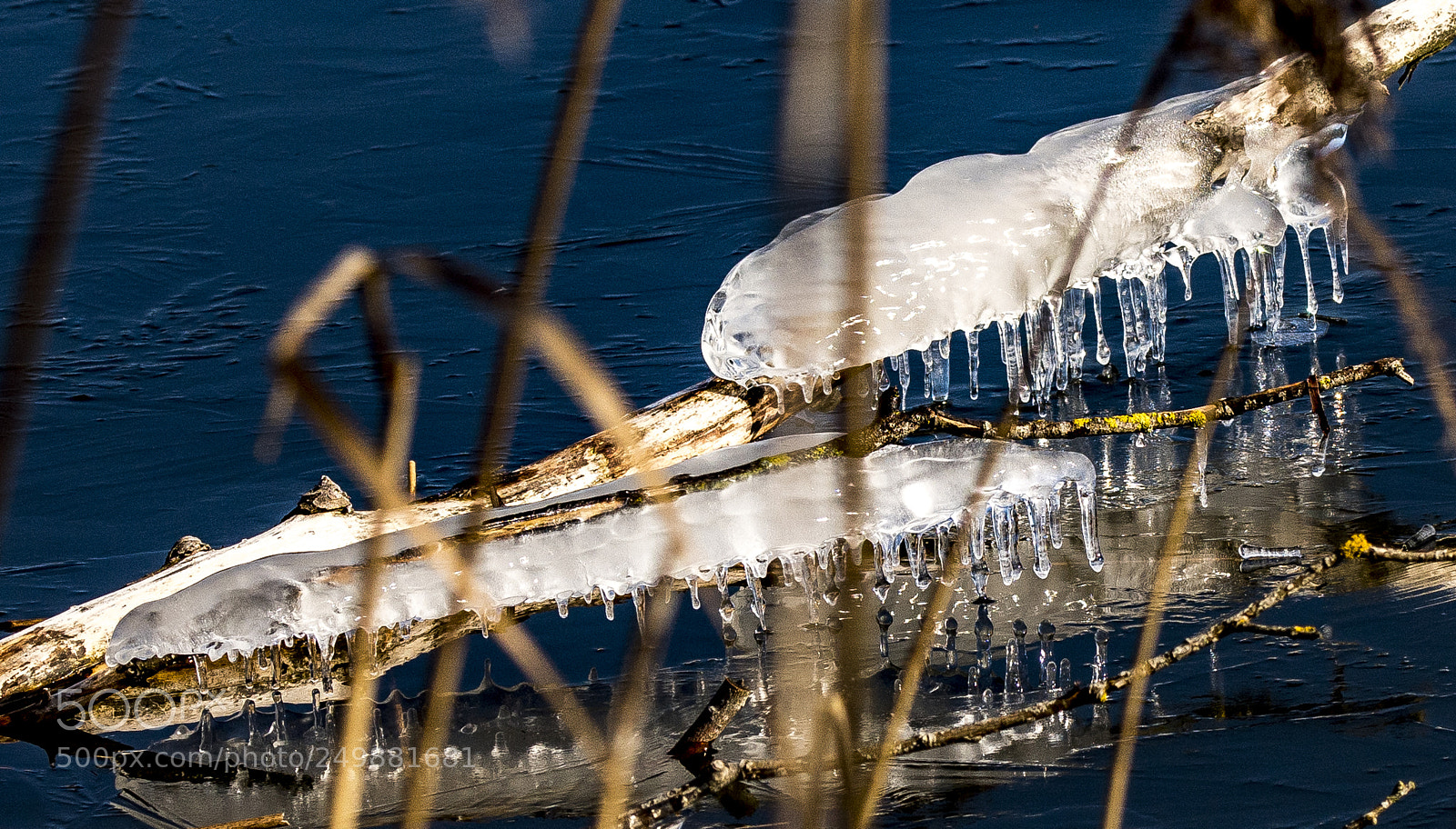 Sony a99 II sample photo. Dsc photography