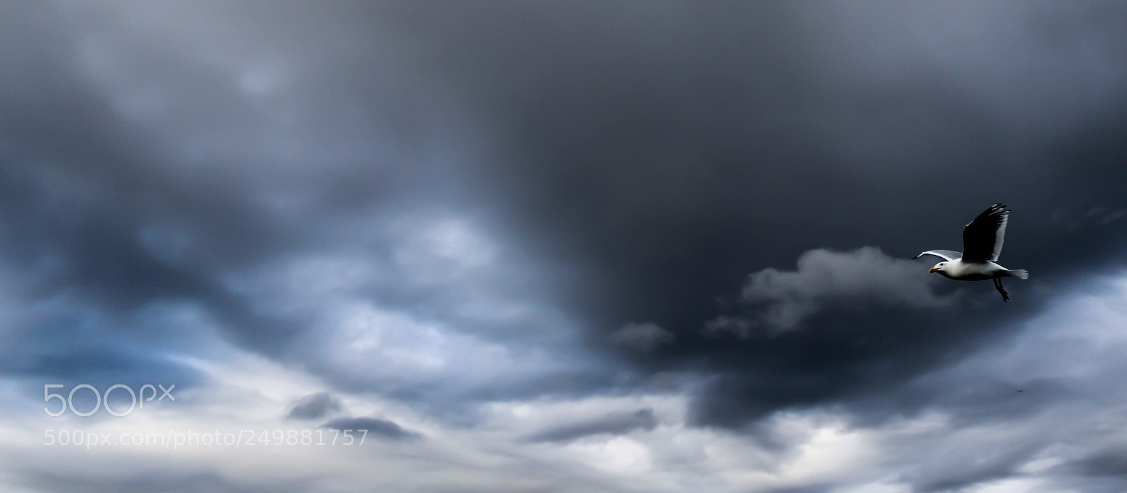 Canon EOS 600D (Rebel EOS T3i / EOS Kiss X5) sample photo. Lonely in the sky photography