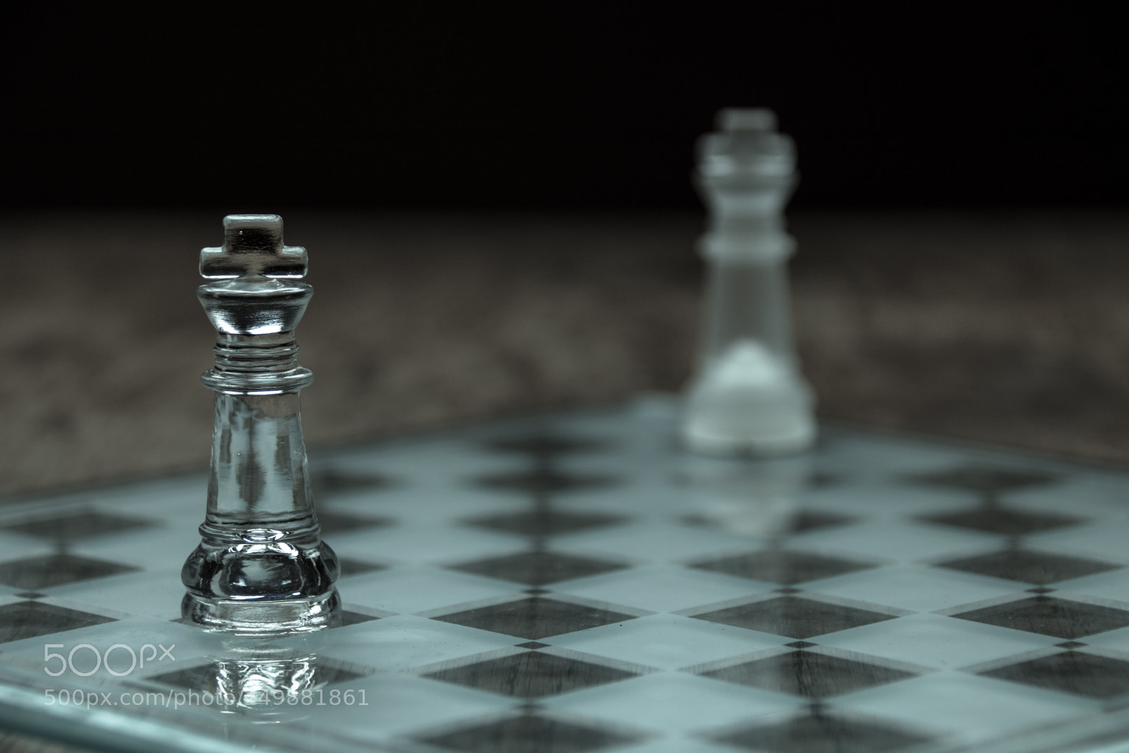 Canon EOS 77D (EOS 9000D / EOS 770D) sample photo. Two kings photography