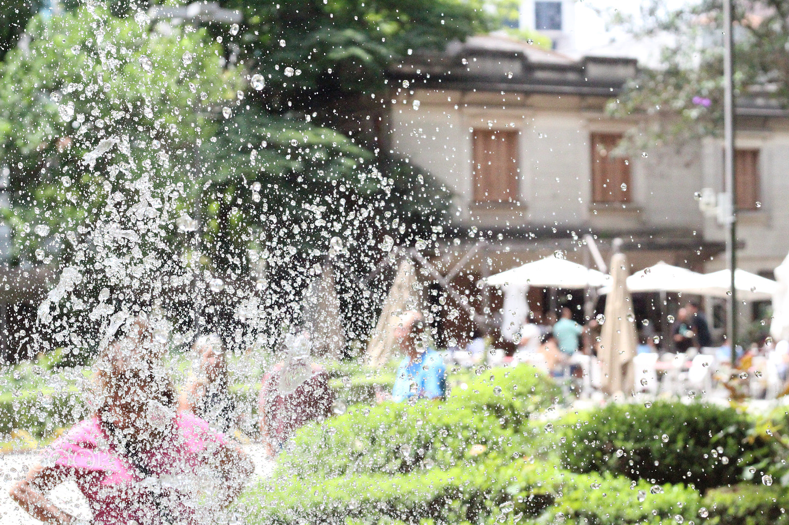 Canon EOS 1300D (EOS Rebel T6 / EOS Kiss X80) sample photo. Freze  photography