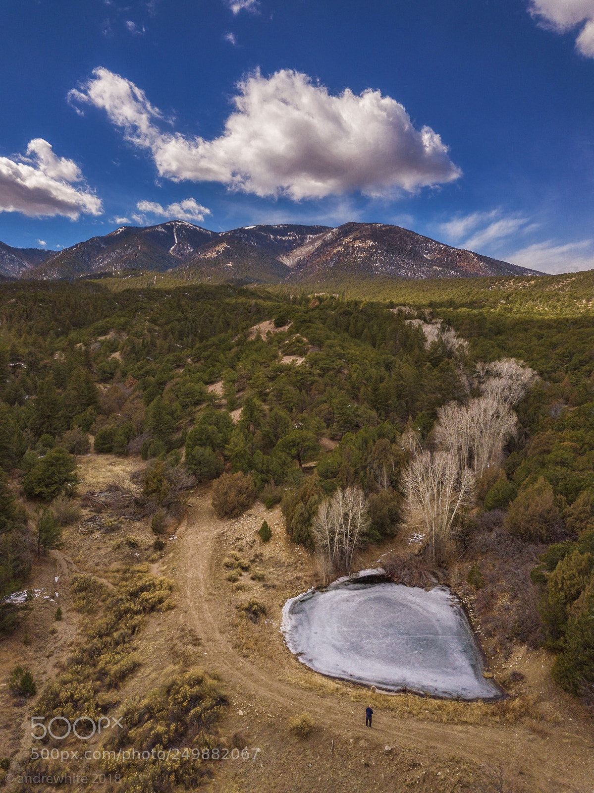 DJI FC220 sample photo. Not quite spring photography