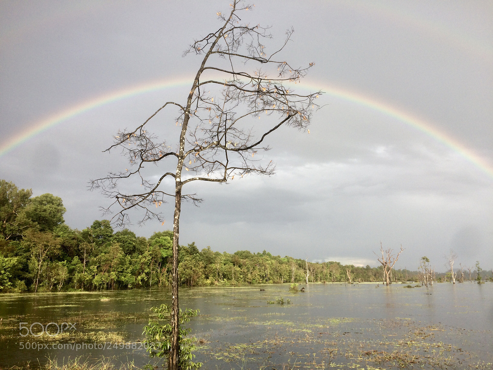 Apple iPhone 5s sample photo. Rainbow  photography