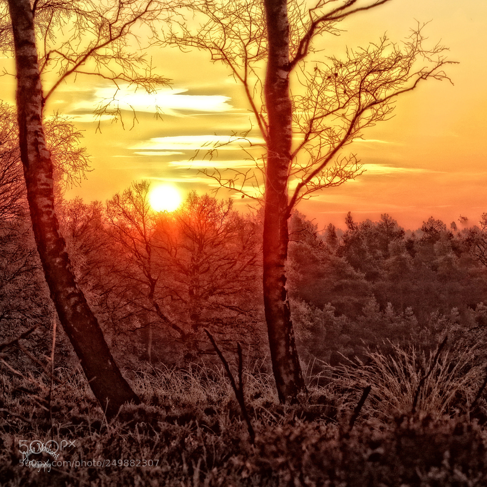 Canon EOS 7D Mark II sample photo. Sunrise on the moor photography
