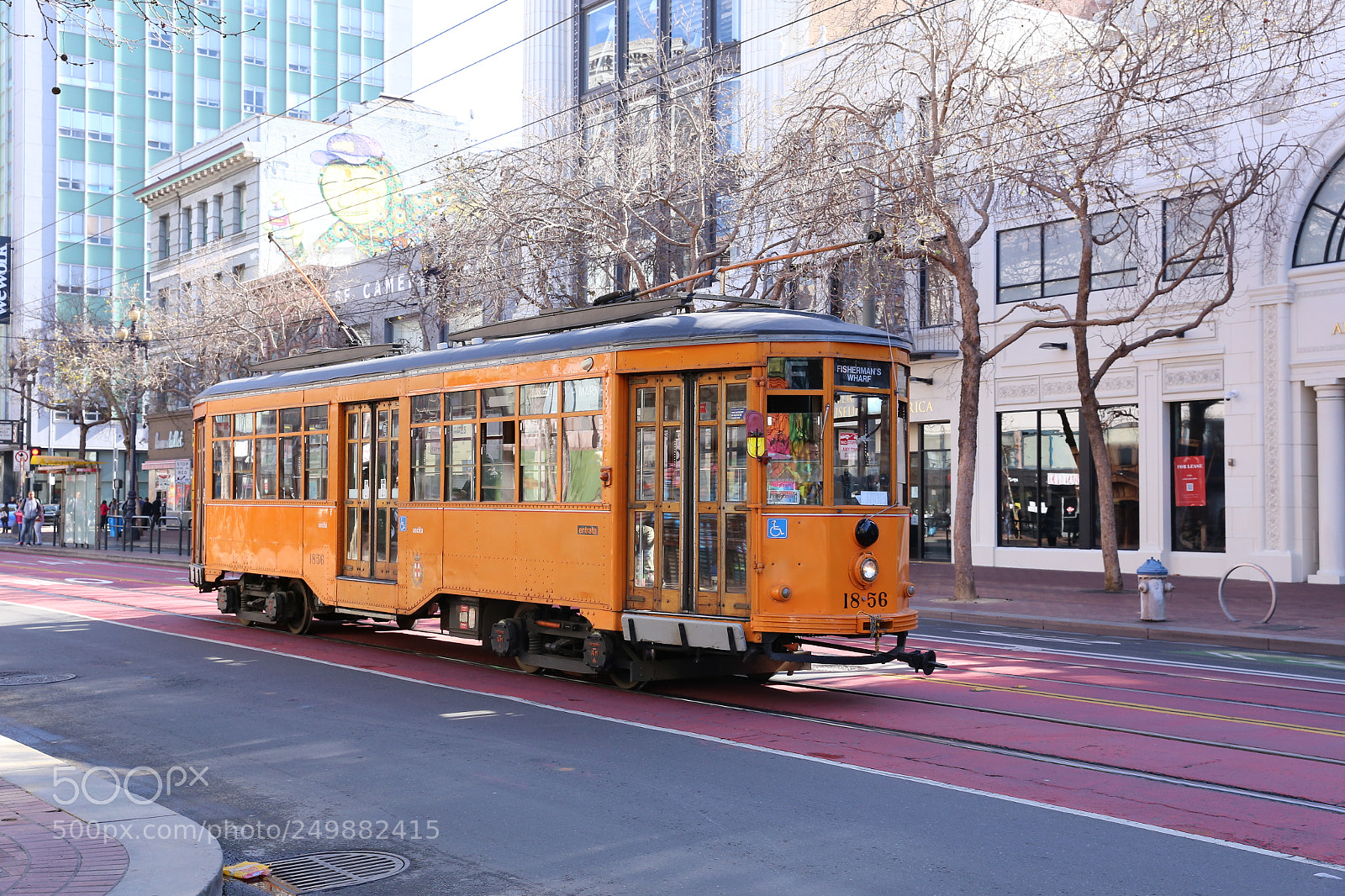 Canon EF 24-70mm F2.8L II USM sample photo. Untitled photography