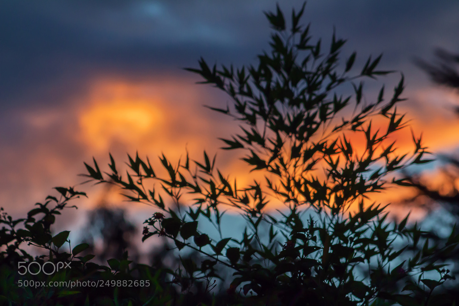 Canon EOS 700D (EOS Rebel T5i / EOS Kiss X7i) sample photo. Los colores del ocaso photography