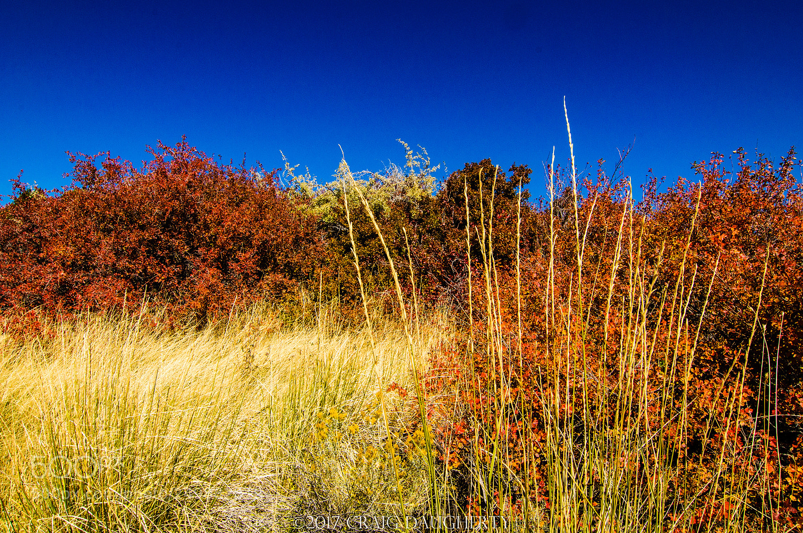 Nikon D90 sample photo. Utah roadside photography
