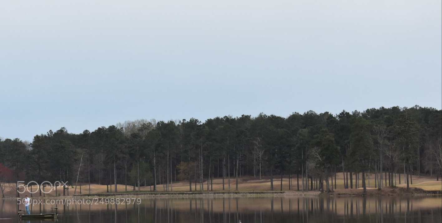 Nikon D3400 sample photo. Untitled photography