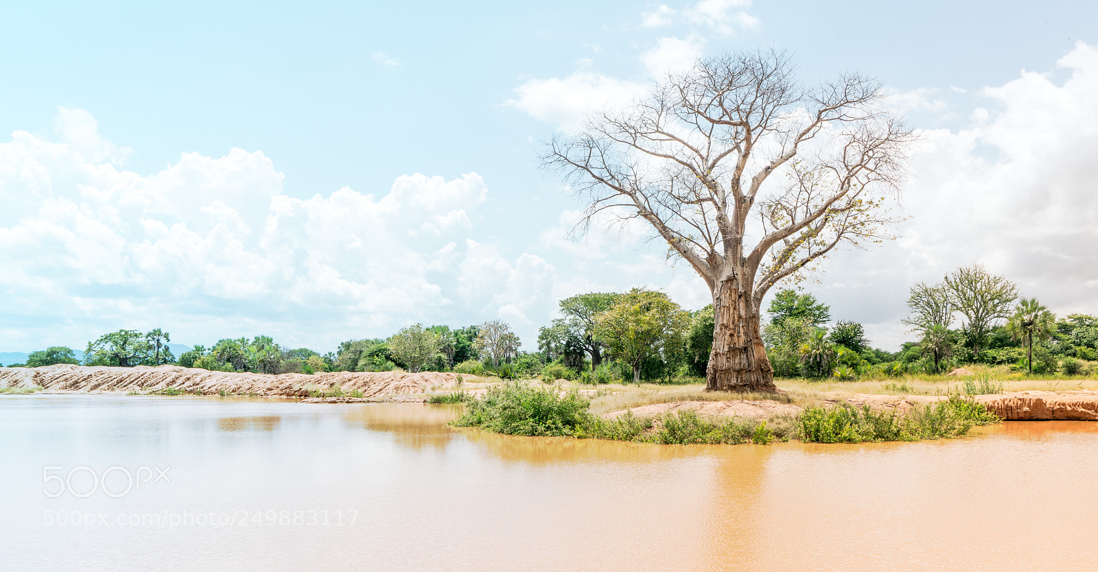Sony a7R II sample photo. Standing tall photography