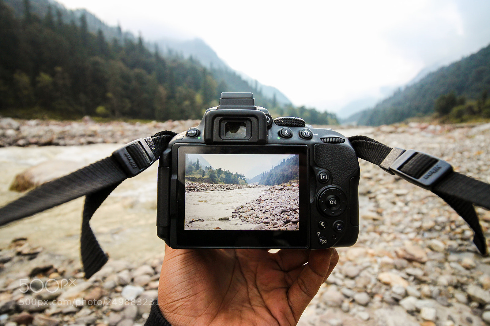 Canon EOS 700D (EOS Rebel T5i / EOS Kiss X7i) sample photo. The best companion. photography