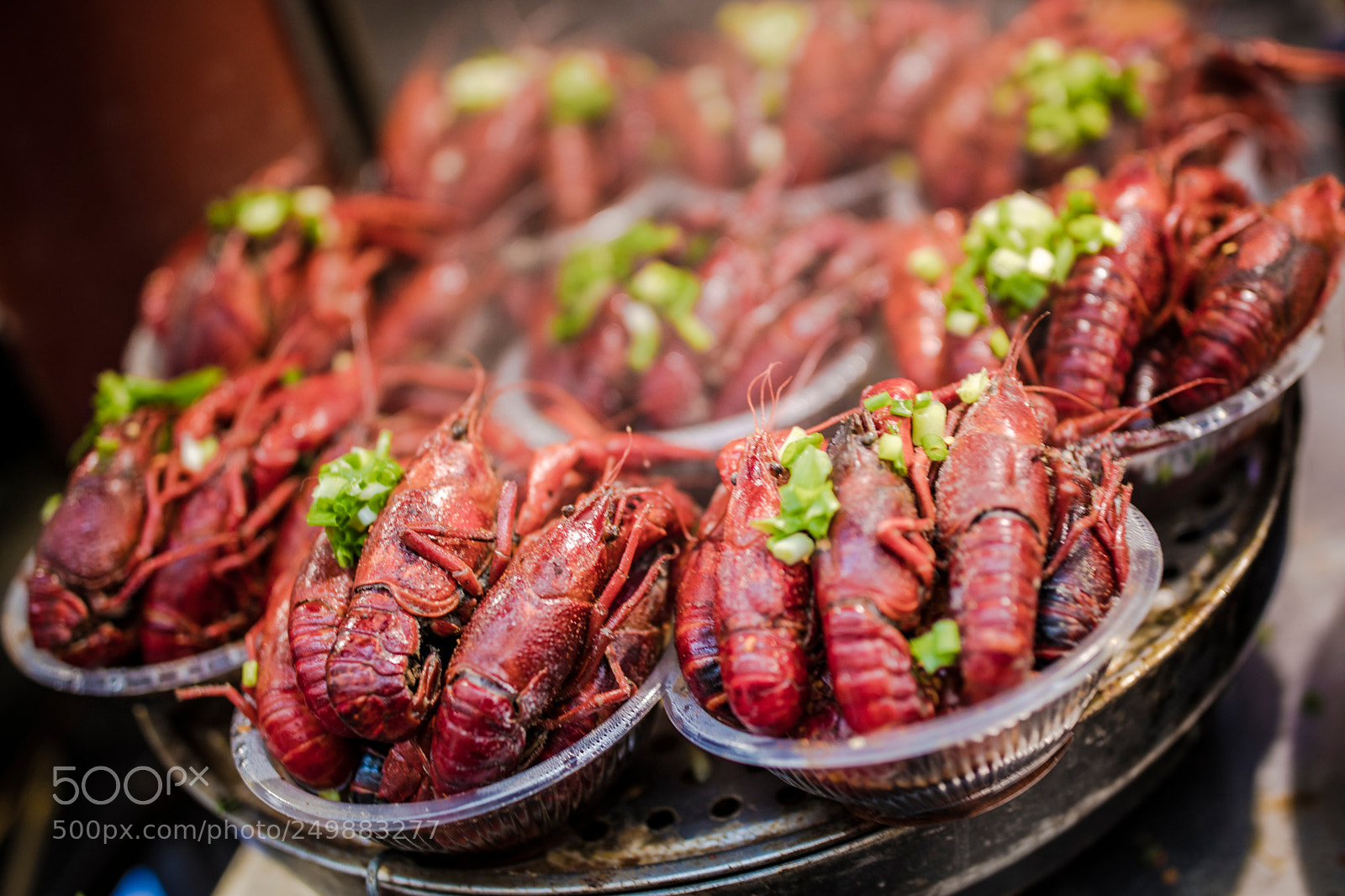 Canon EOS 5DS R sample photo. 254a0339-1.jpg photography