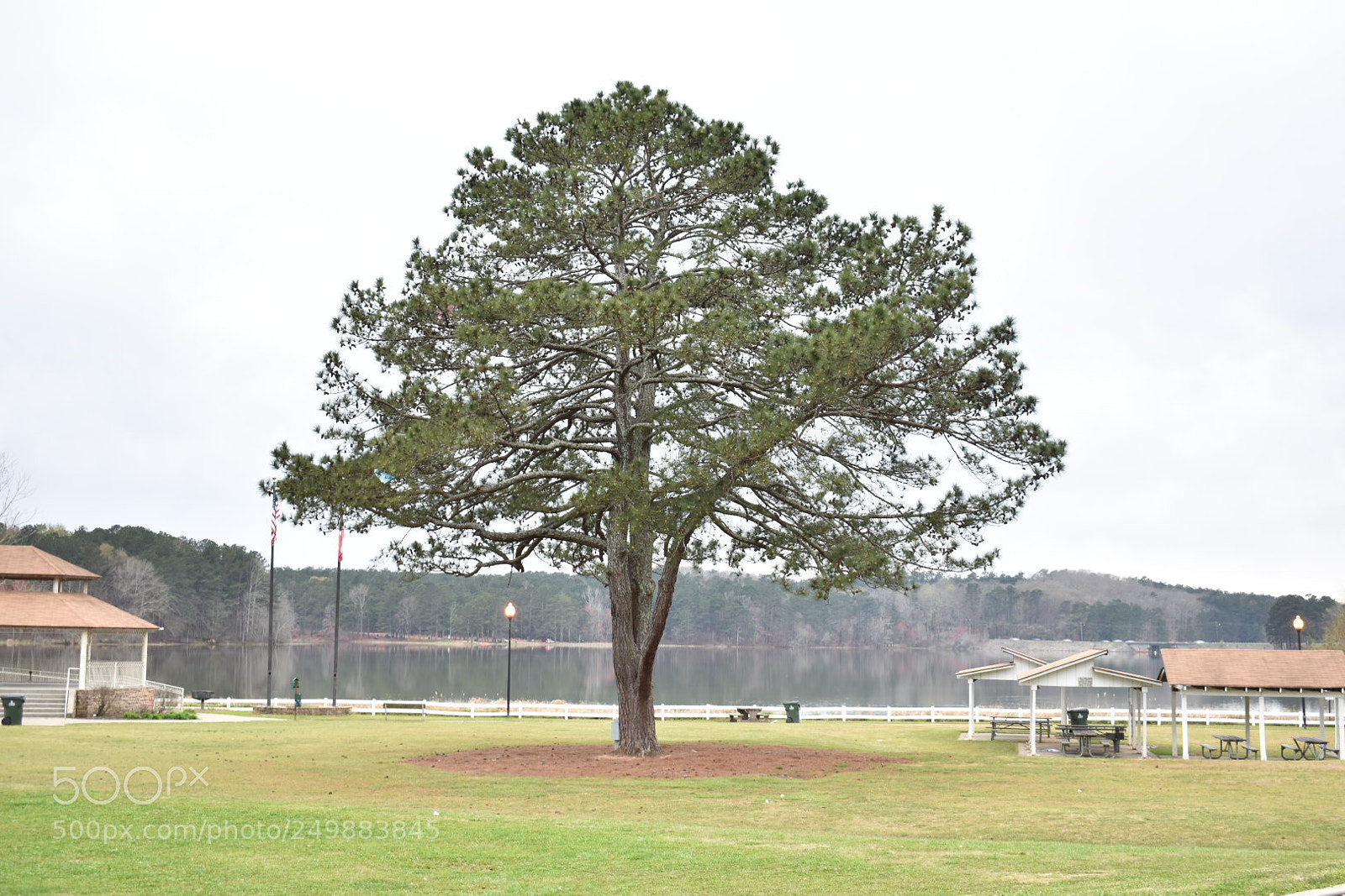 Nikon D3400 sample photo. Untitled photography