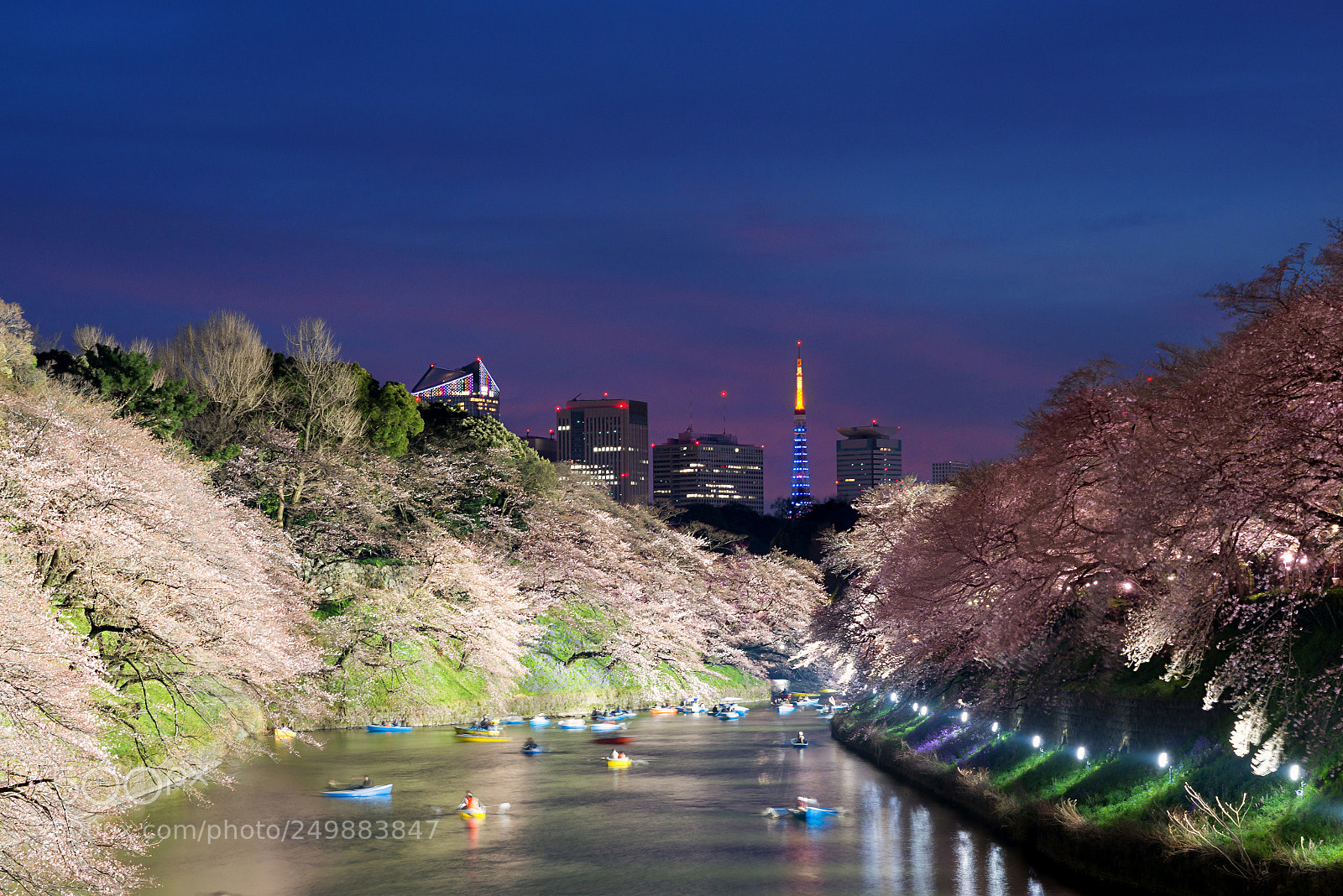 Nikon D800 sample photo. Night view of massive photography