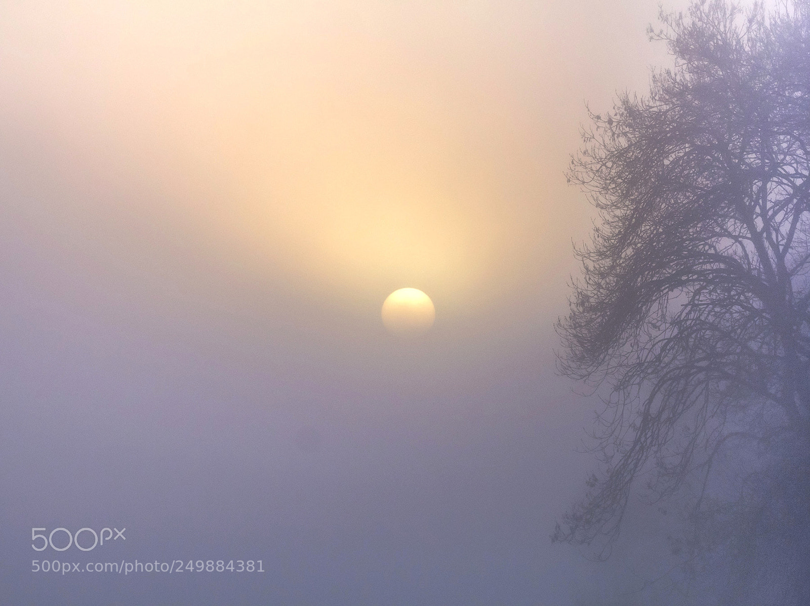 Canon EOS 60D sample photo. Soleil voilé / obscured sun photography