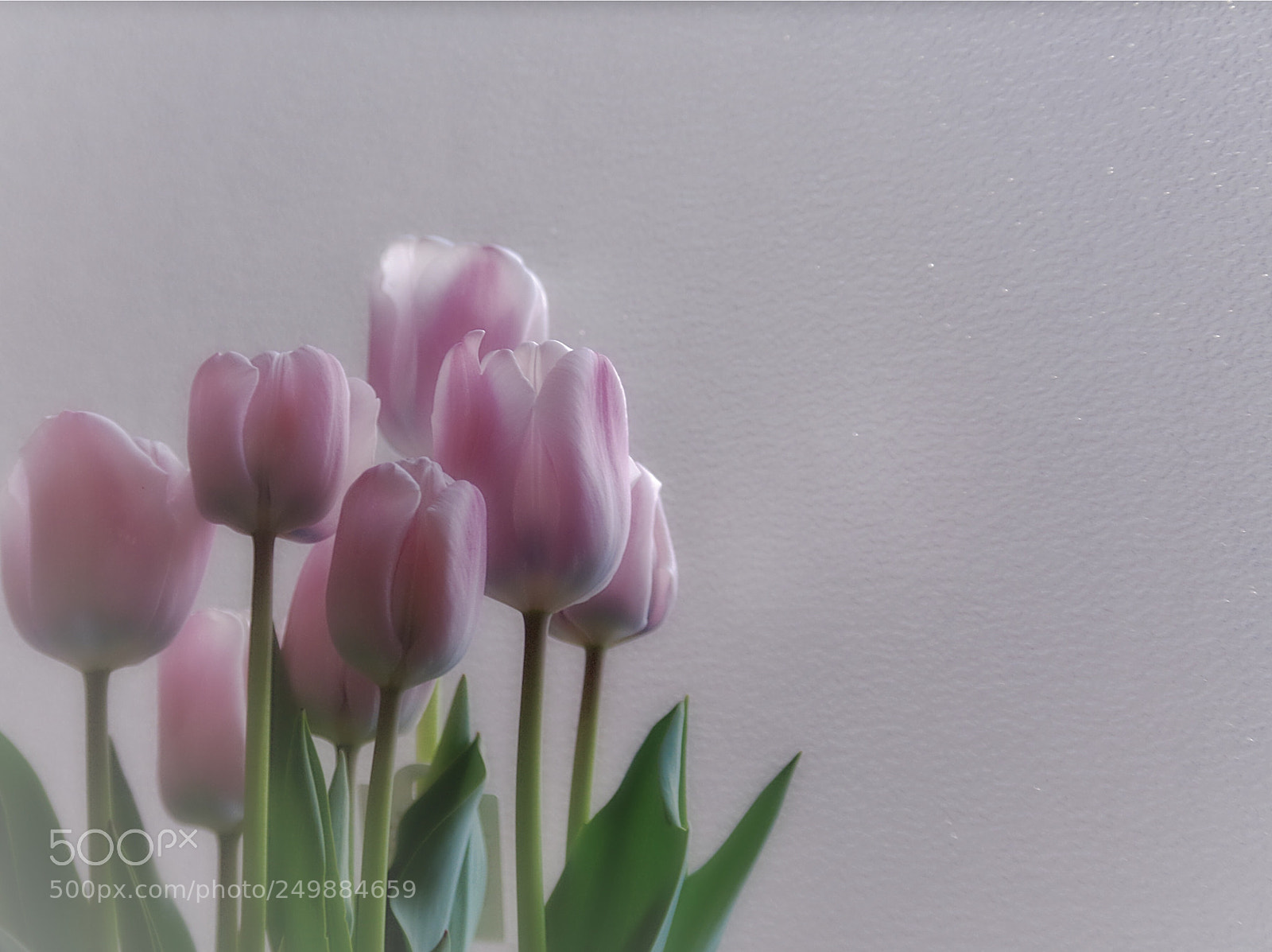 Pentax K-50 sample photo. Color photography