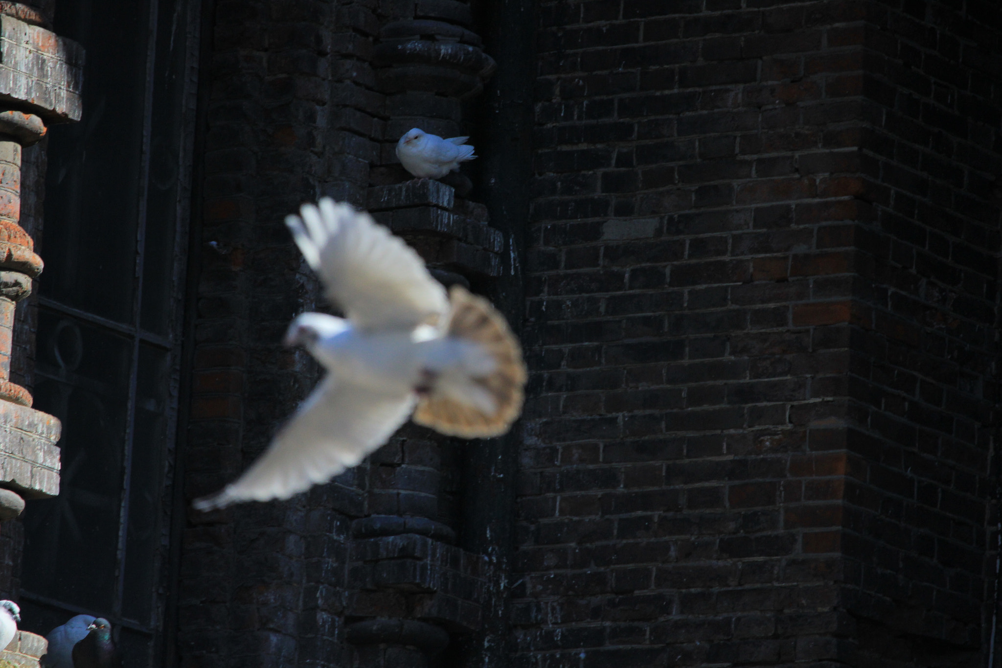 Canon EF-S 55-250mm F4-5.6 IS STM sample photo