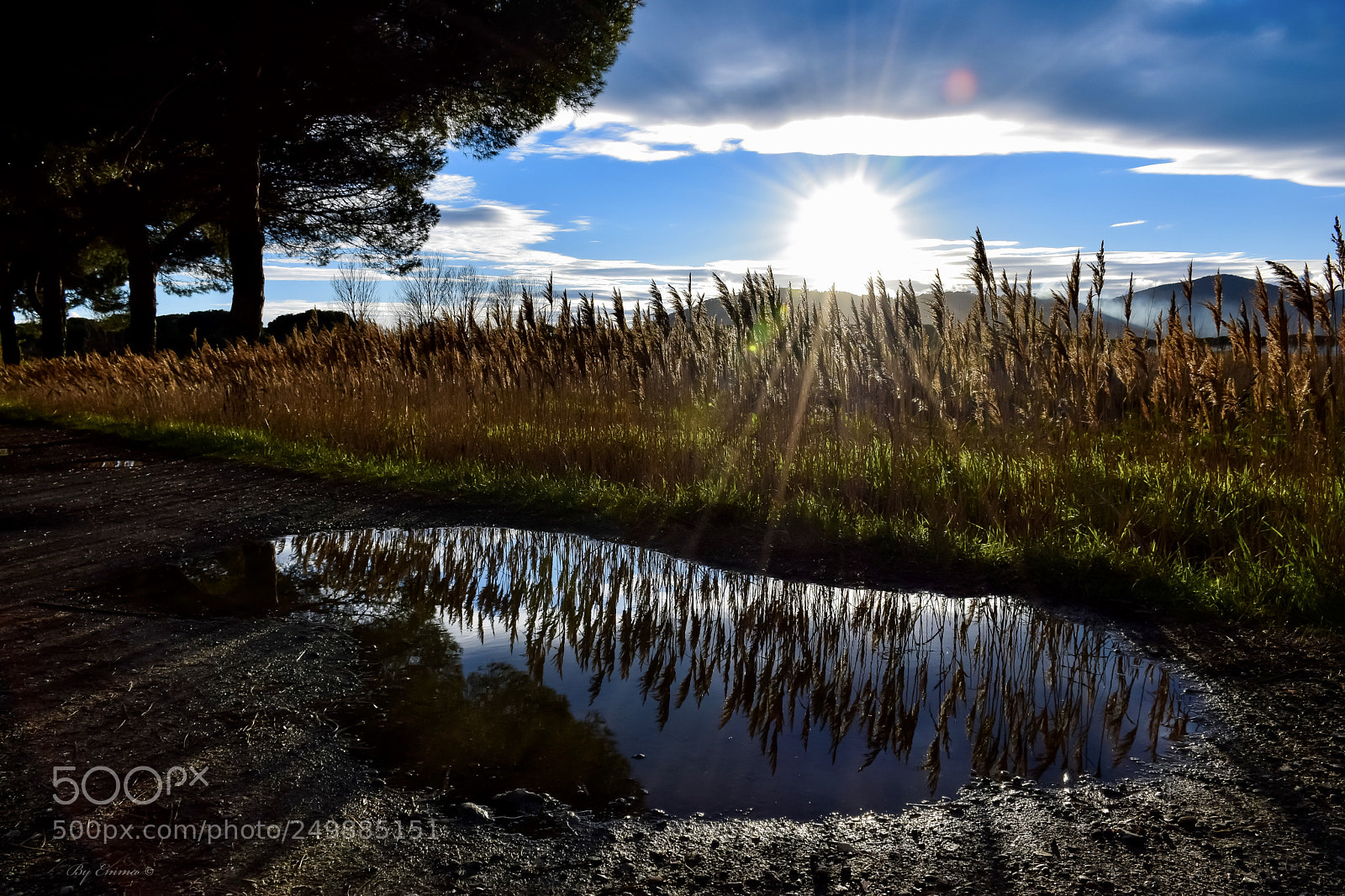 Nikon D3300 sample photo. A puddle  photography