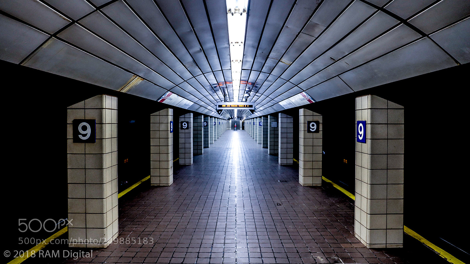 Canon EOS 5DS R sample photo. Don't look left or photography