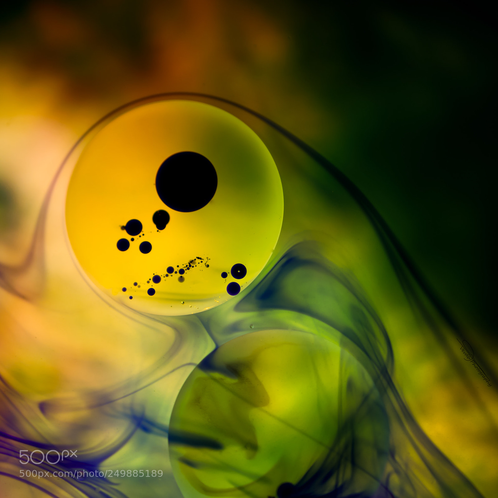 Nikon D5300 sample photo. Collor photography