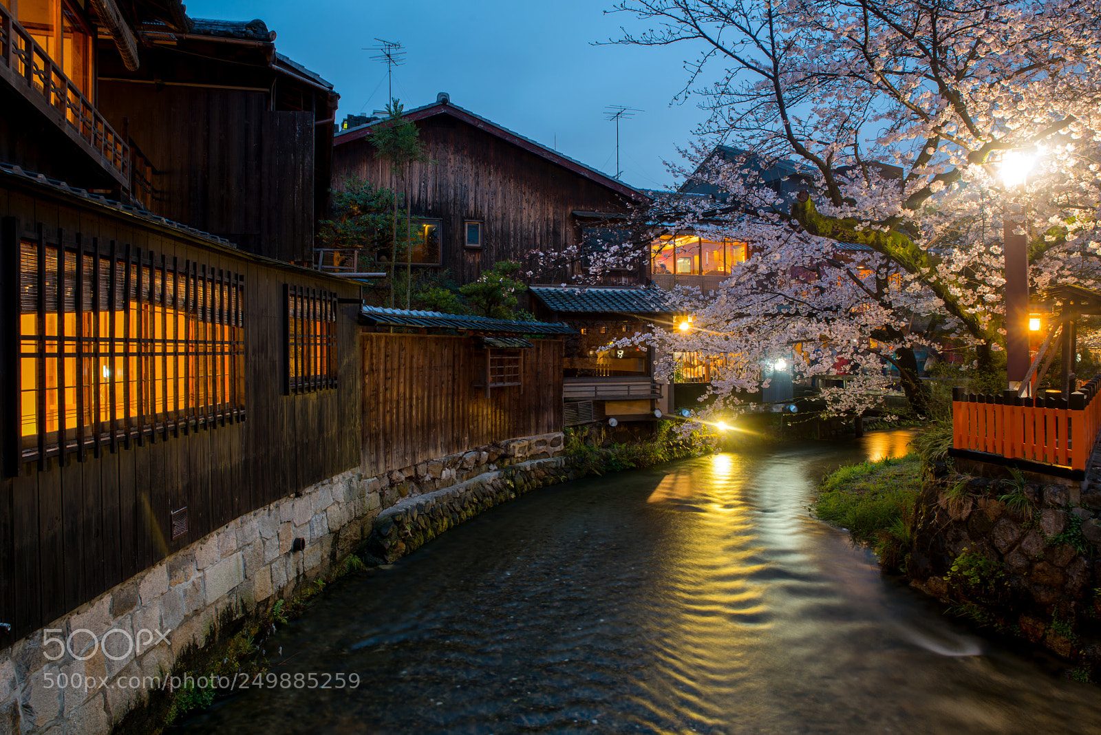 Nikon D800 sample photo. Kyoto, japan at the photography