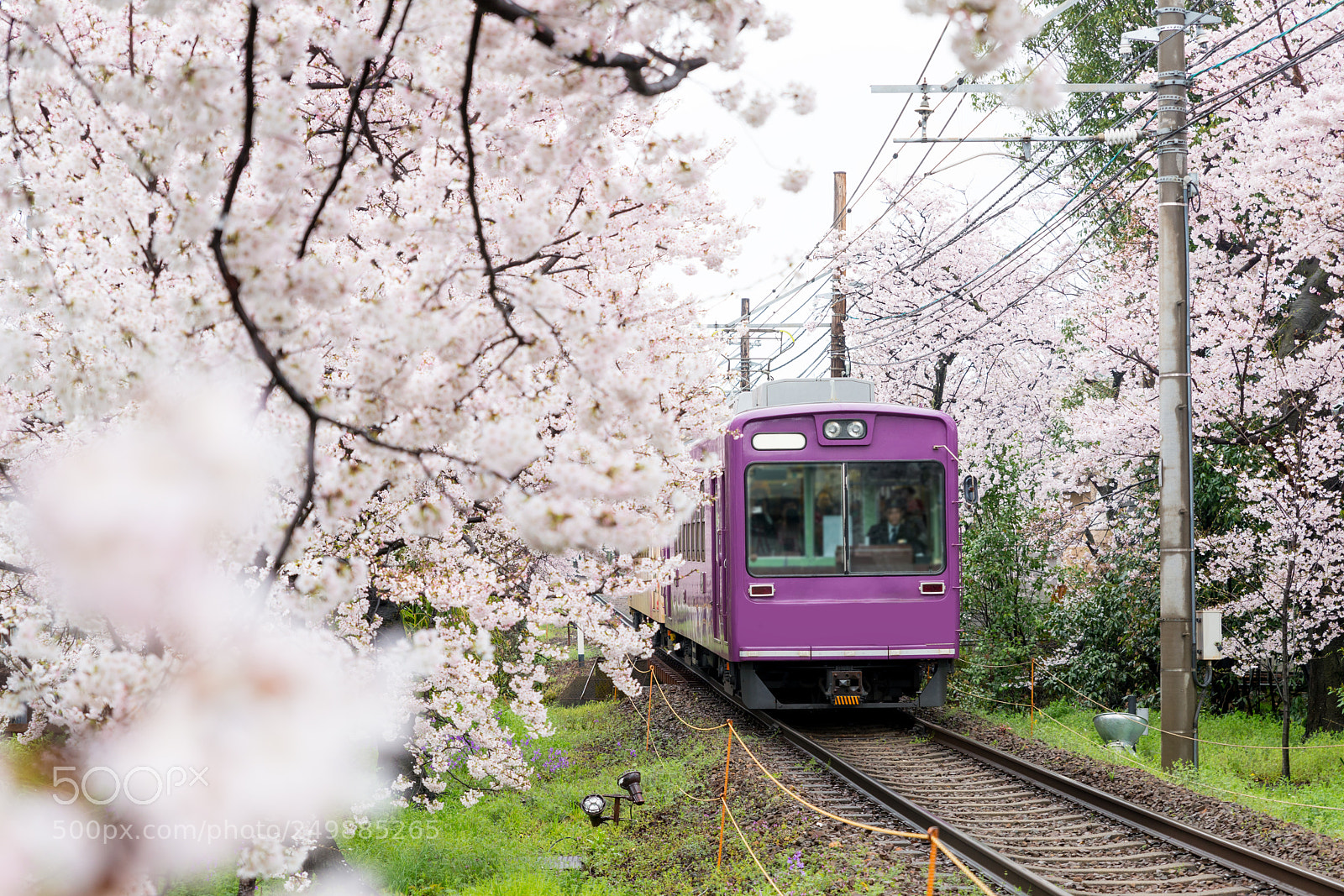 Nikon D800 sample photo. View of kyoto local photography