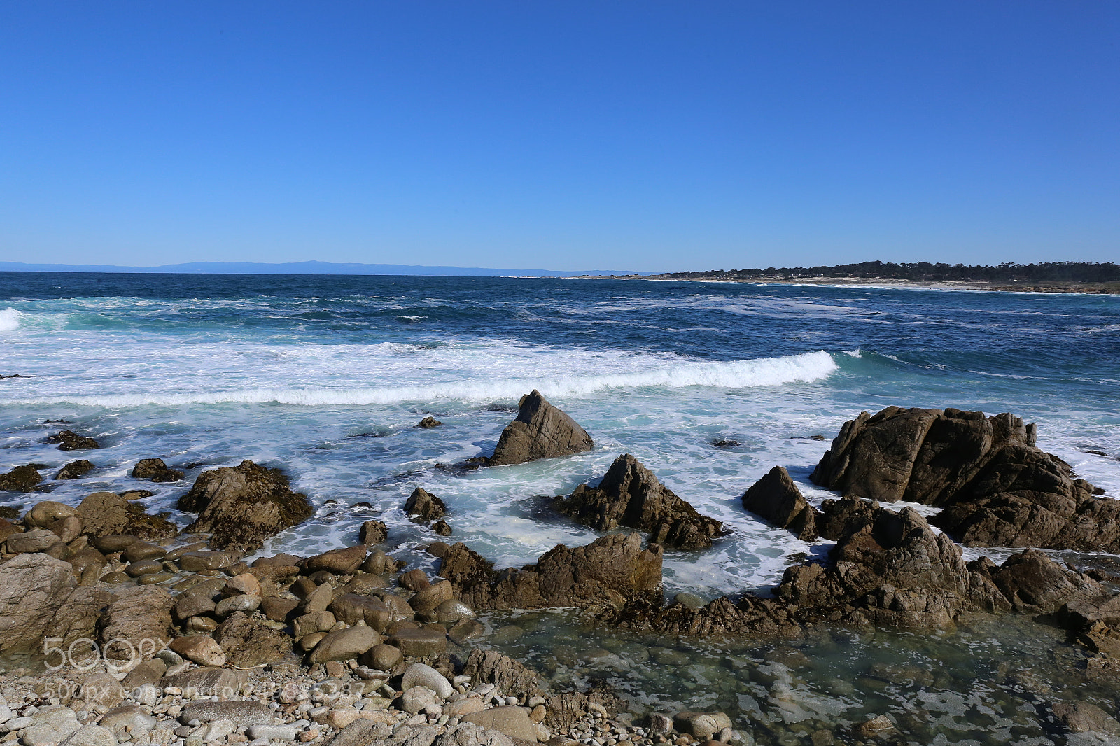 Canon EF 24-70mm F2.8L II USM sample photo. Untitled photography