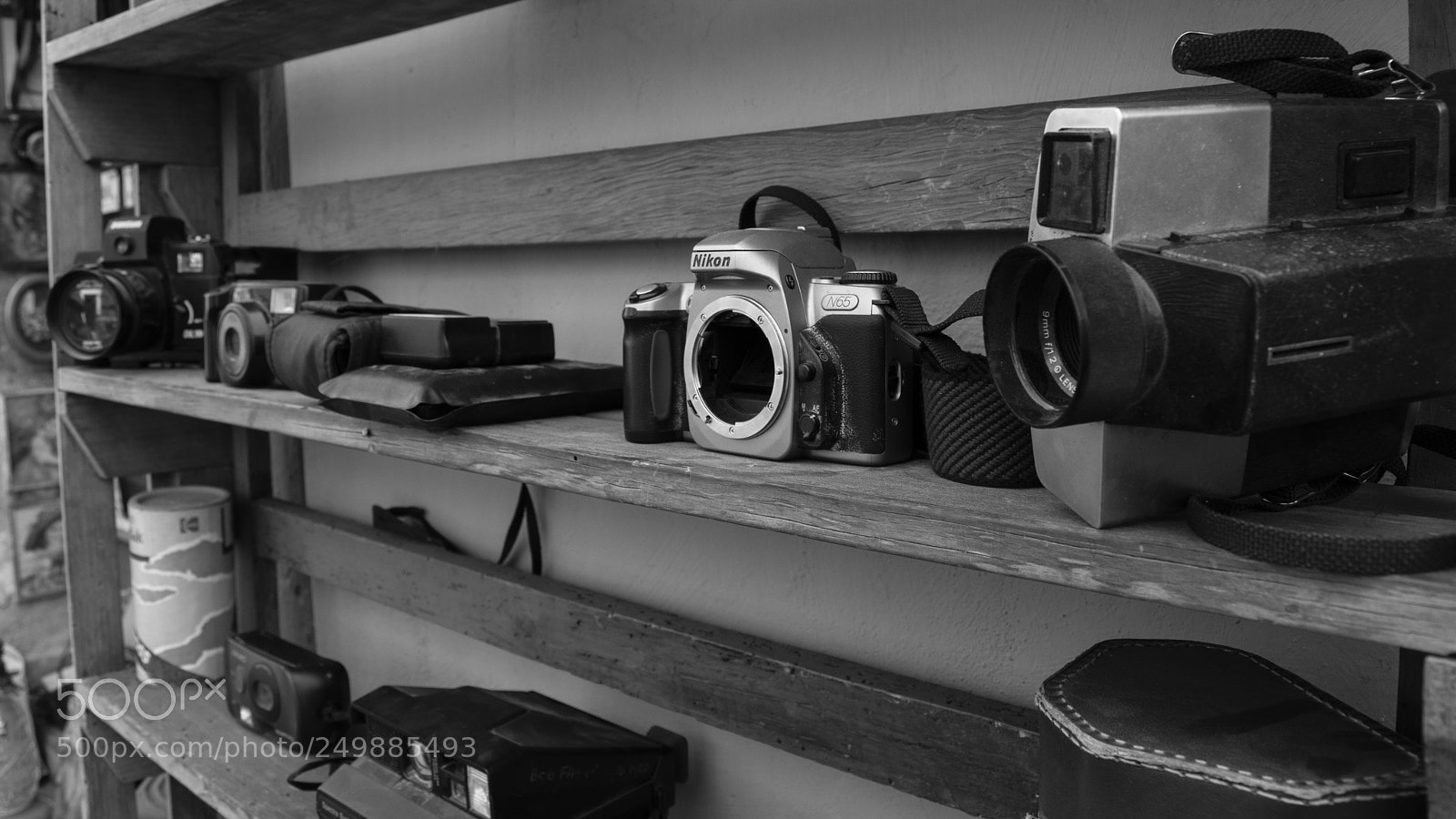 Nikon D5500 sample photo. Camera photography