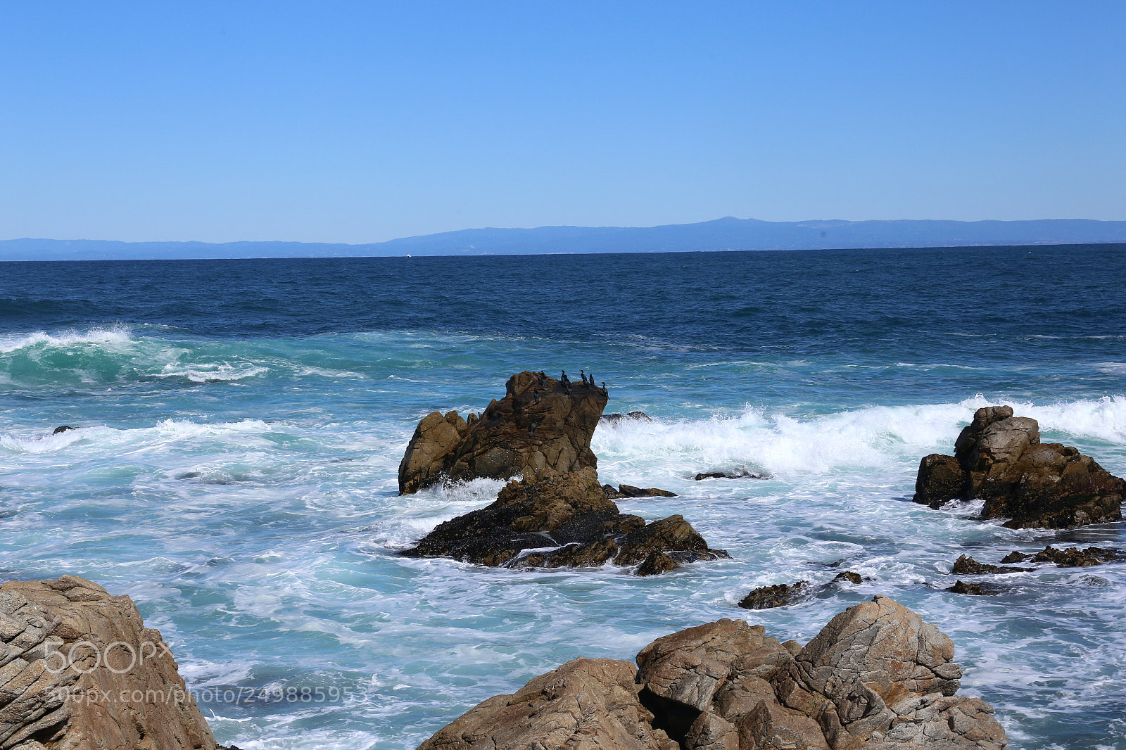 Canon EF 24-70mm F2.8L II USM sample photo. Untitled photography