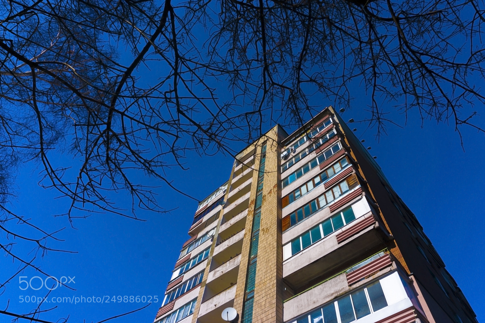 Sony a6000 sample photo. Upward part 1 photography