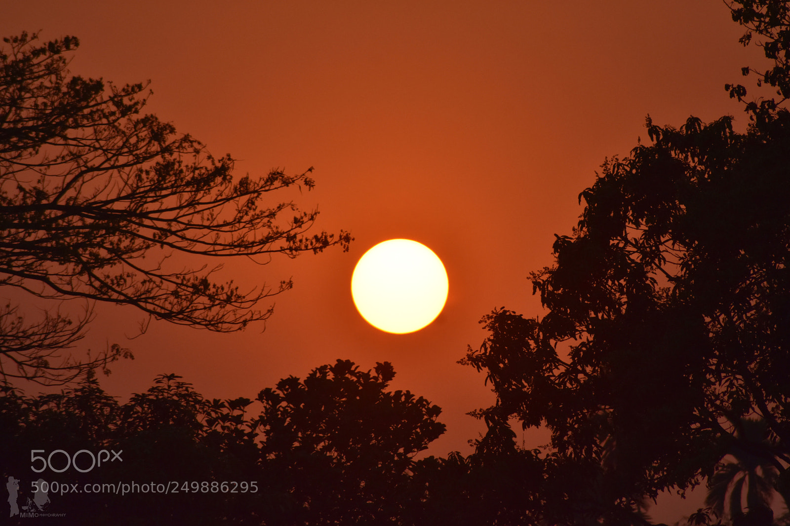 Nikon D7200 sample photo. " গোধুলি লগন " photography