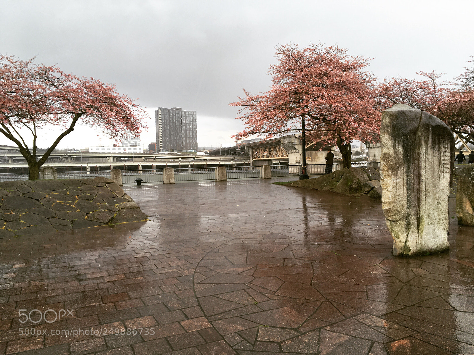 Apple iPhone SE sample photo. Beautiful rainy day in photography