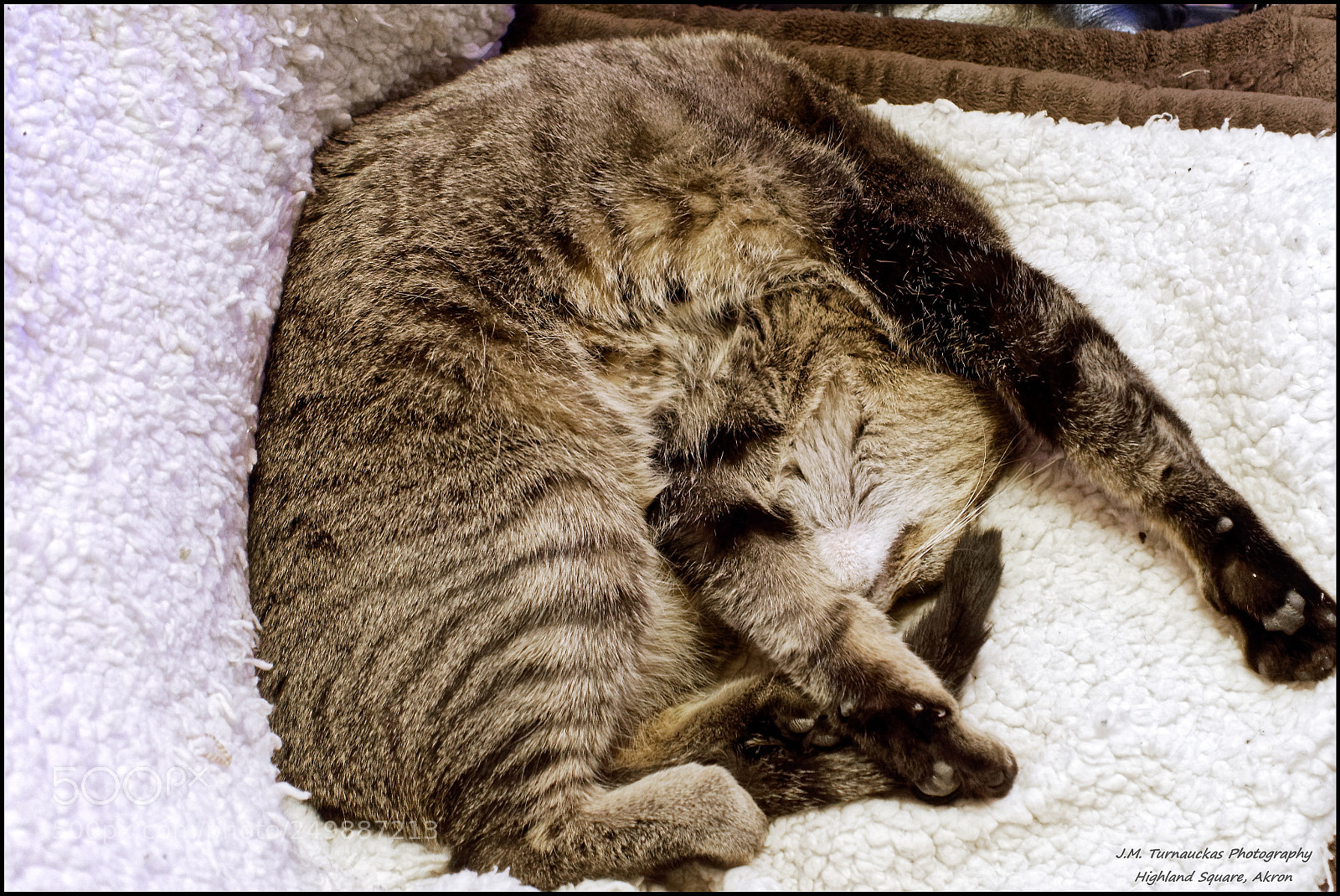 Sony Cyber-shot DSC-RX100 III sample photo. Surrendering to sleep photography