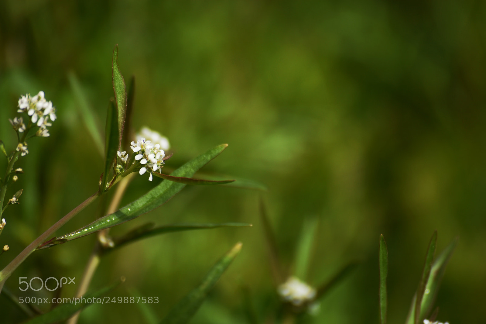 Nikon D7200 sample photo. Untitled photography