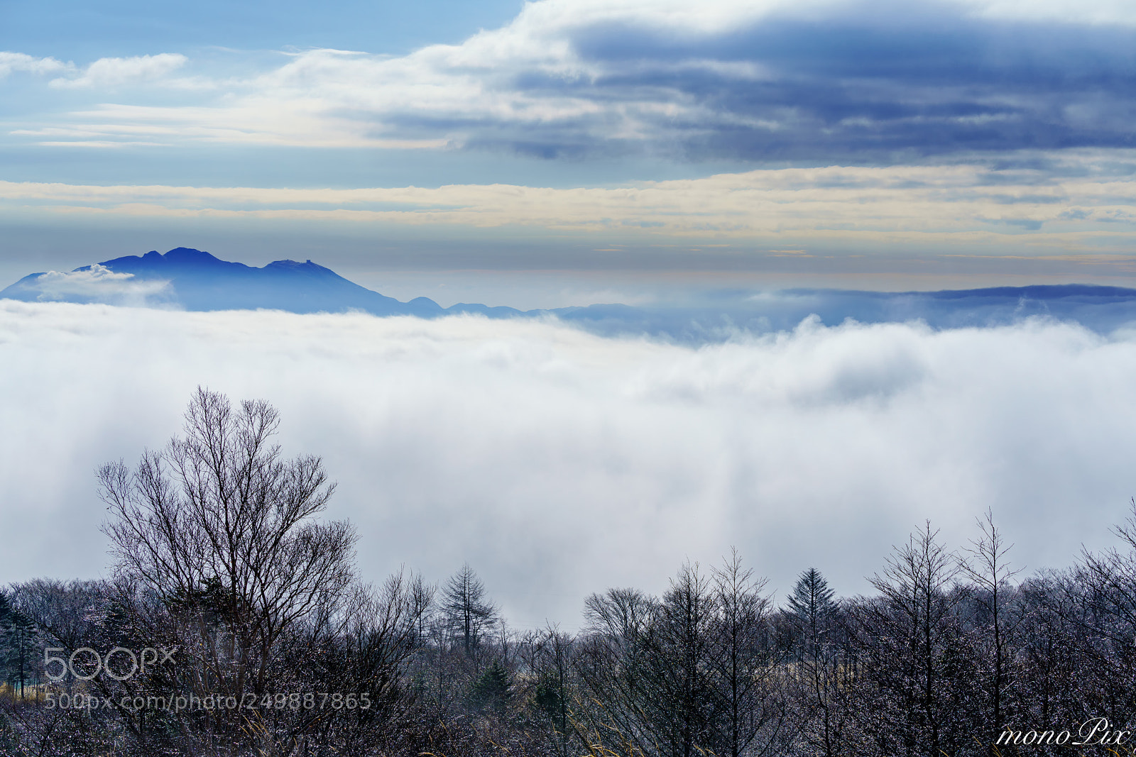 Sony a7R III sample photo. Floating on clouds photography